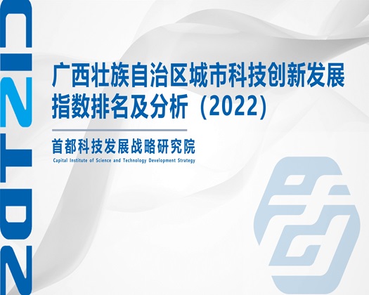 肏外国老女人屄【成果发布】广西壮族自治区城市科技创新发展指数排名及分析（2022）